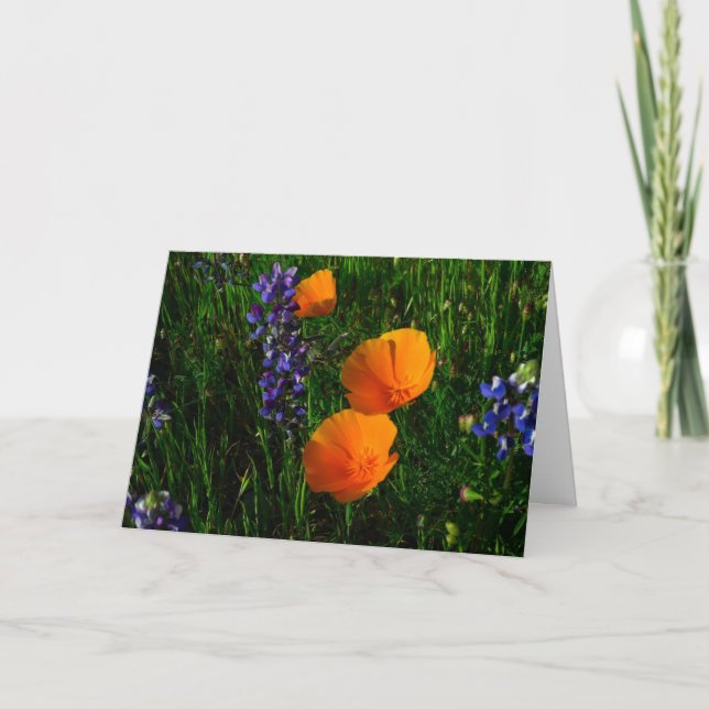 Wildflowers in Sonoma County Card (Front)