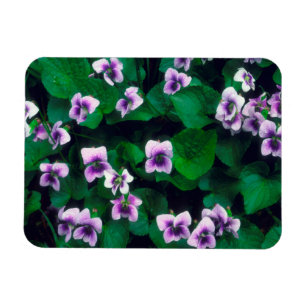 Wildflowers in the forest magnet