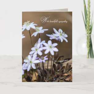 wildflowers in woods card