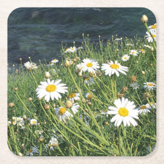 Wildflowers, La Jolla cove, CA Square Paper Coaster