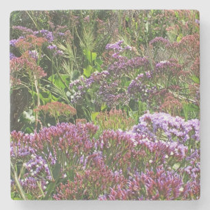 Wildflowers, La Jolla Cove, CA Stone Coaster