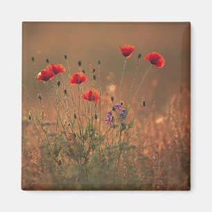 wildflowers magnet