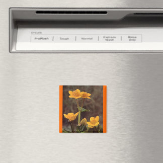 Wildflowers: Marsh Marigold Magnet