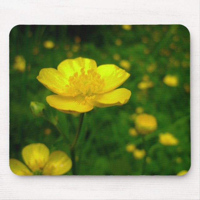 Wildflowers Mousepad  Buttercup Computer Gifts (Front)