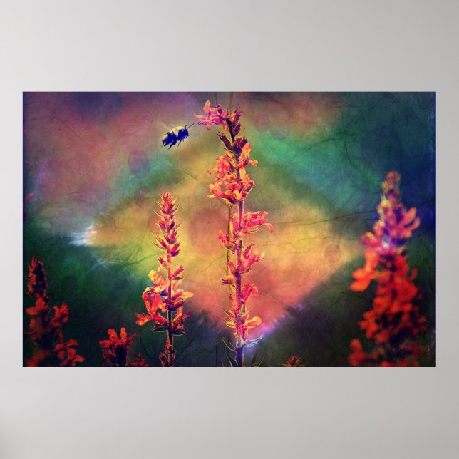 Wildflowers N Bee Autumn Diamond Poster (Front)