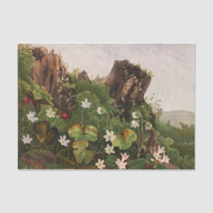 Wildflowers No. 2 by Ellen Robbins Tissue Paper