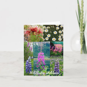 Wildflowers of Alaska Card