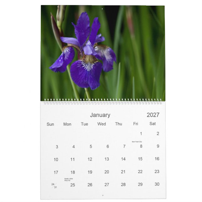 Wildflowers of Europe 2010 Calendar (Jan 2027)