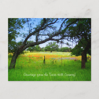 Wildflowers Of The Texas Hill Country Postcard