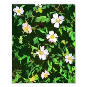 WILDFLOWERS PHOTO PRINT
