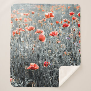 Wildflowers poppies sherpa blanket