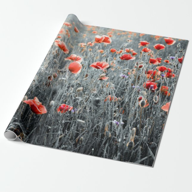 Wildflowers poppies wrapping paper (Unrolled)