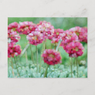 Wildflowers  postcard