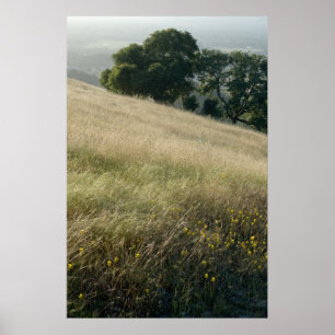 Wildflowers Poster