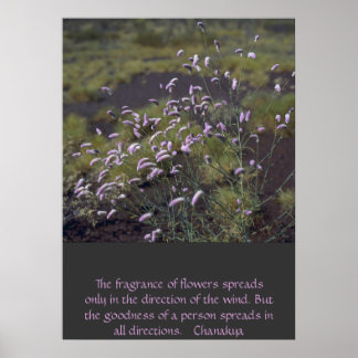wildflowers poster