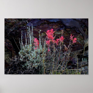 Wildflowers Poster