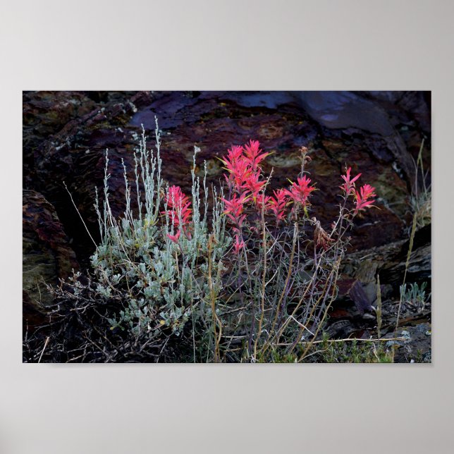 Wildflowers Poster (Front)