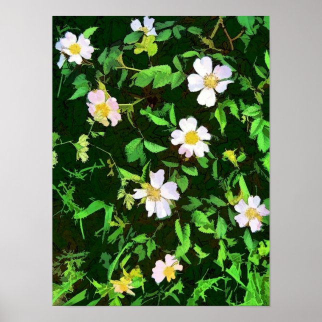 WILDFLOWERS POSTER (Front)