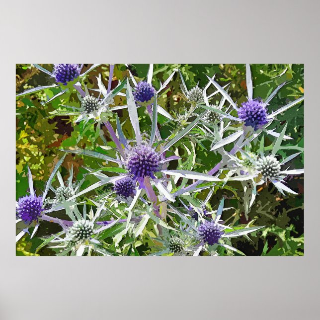 WILDFLOWERS POSTER (Front)