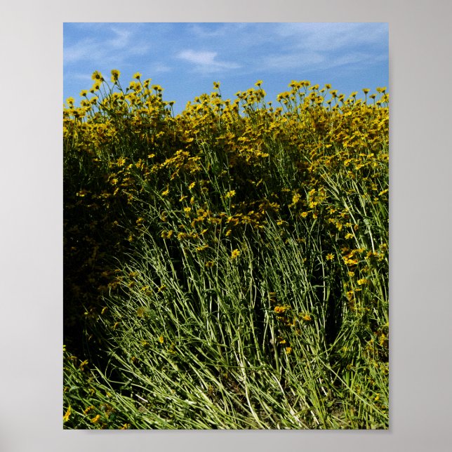 Wildflowers Sunflowers Poster (Front)