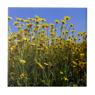 Wildflowers Sunflowers Tile