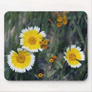 Wildflowers Yellow and White Sunflowers Mouse Pad
