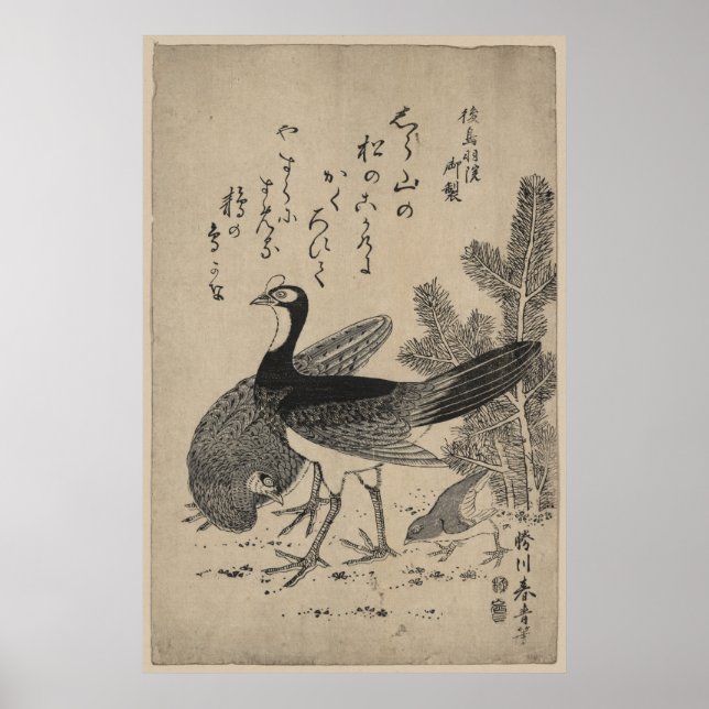 Wildfowl and Pine Poster (Front)