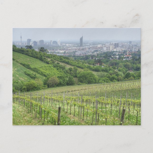 Wildgrube Postcard (Front)