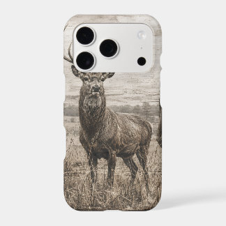 Wildlife