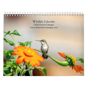 Wildlife 2026 calendar