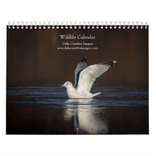 Wildlife 2026 calendar