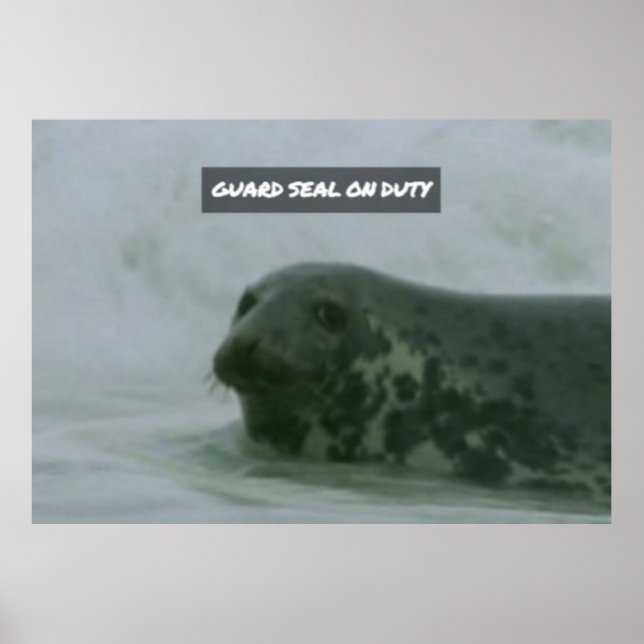 wildlife 219 poster (Front)