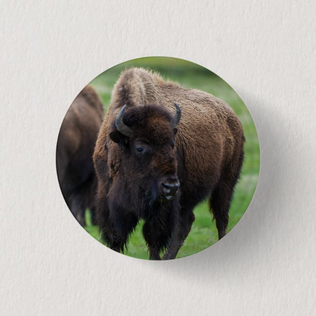 Wildlife  3 cm round badge (Front)