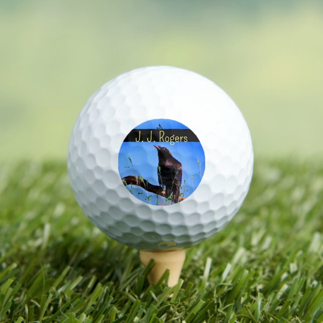 Wildlife (3-Pack) Raven Bird Personalised Golf Balls (Insitu Tee)
