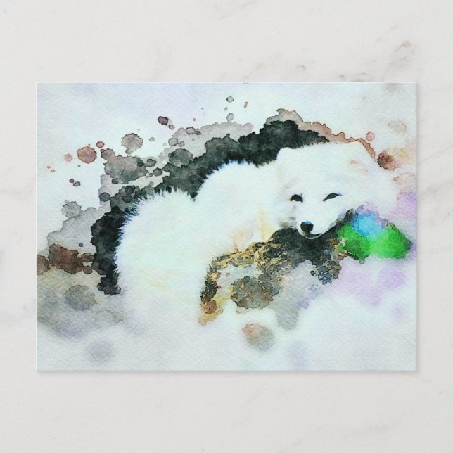 *~* Wildlife AP18 Snow White Arctic Polar Fox Post Postcard (Front)