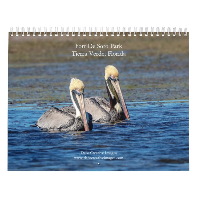 Wildlife at Fort De Soto Park 2026 Calendar (Cover)