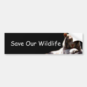 Wildlife Awareness Car Sticker