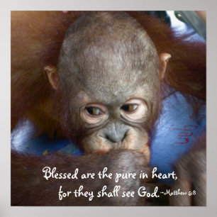 Wildlife Baby : Blessed are the pure in heart Poster