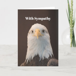Wildlife Bald Eagle Portrait Photo Sympathy Card