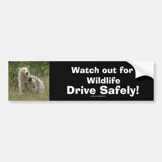 Wildlife Bears Animal-lovers Design Bumper Sticker (Front)
