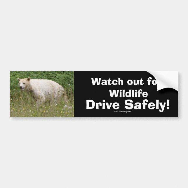 Wildlife Bears Animal-lovers Design Bumper Sticker (Front)