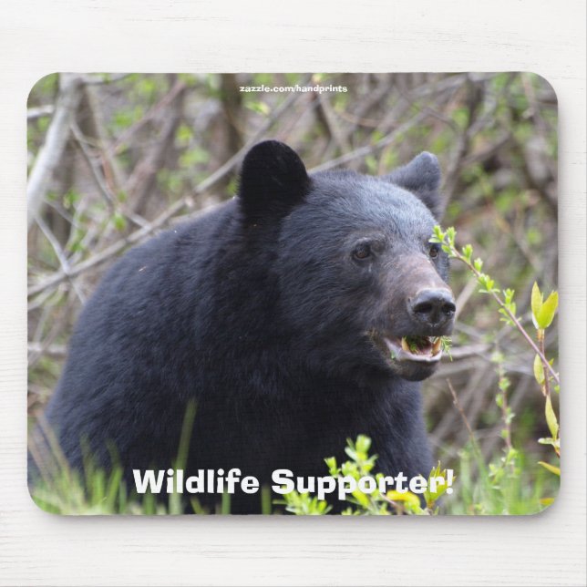 Wildlife Bears Animal-lovers Design Mouse Pad (Front)