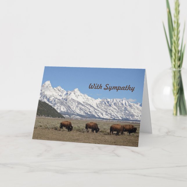 Wildlife Bison Mountains Snow Photo Sympathy Card (Front)