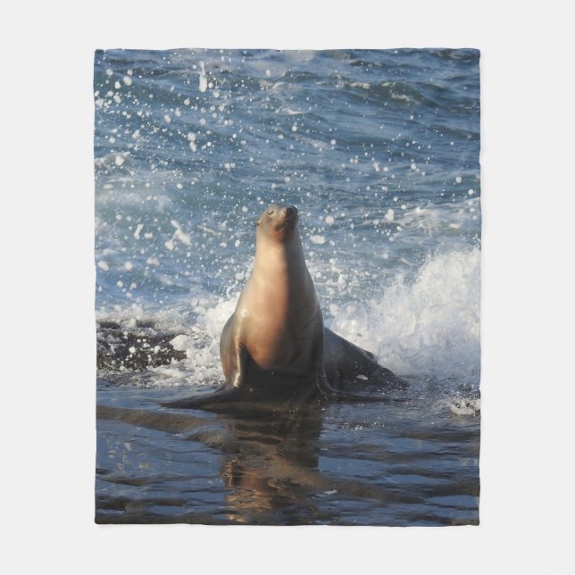 Wildlife blanket, marine life, California sea lion Fleece Blanket (Front)