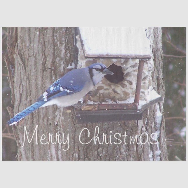 Wildlife Blue Jay Christmas Greeting Tissue Paper (Front)