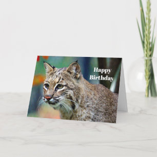 Wildlife Bobcat Photo Birthday Card