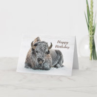 Wildlife Buffalo Snow Photo Birthday