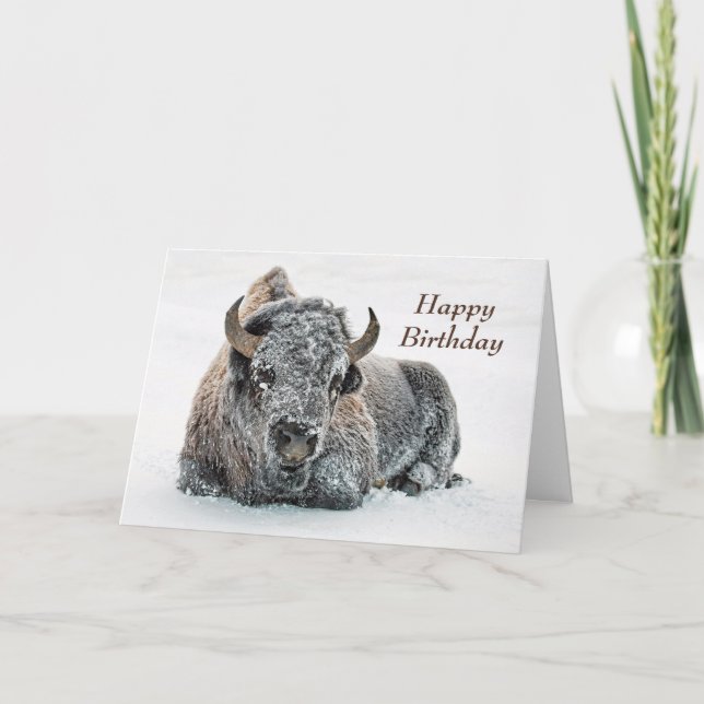 Wildlife Buffalo Snow Photo Birthday Card (Front)