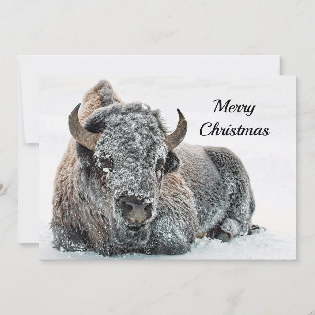 Wildlife Buffalo Snow Photo Christmas Flat Holiday Card (Front)