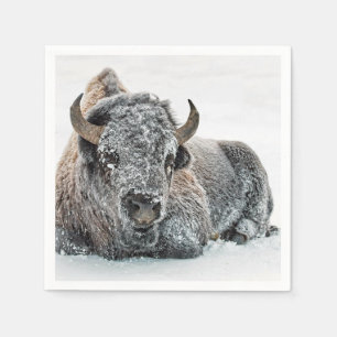 Wildlife Buffalo Snow Photo Napkin